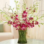 Six Orchid Elegance Glass Vase