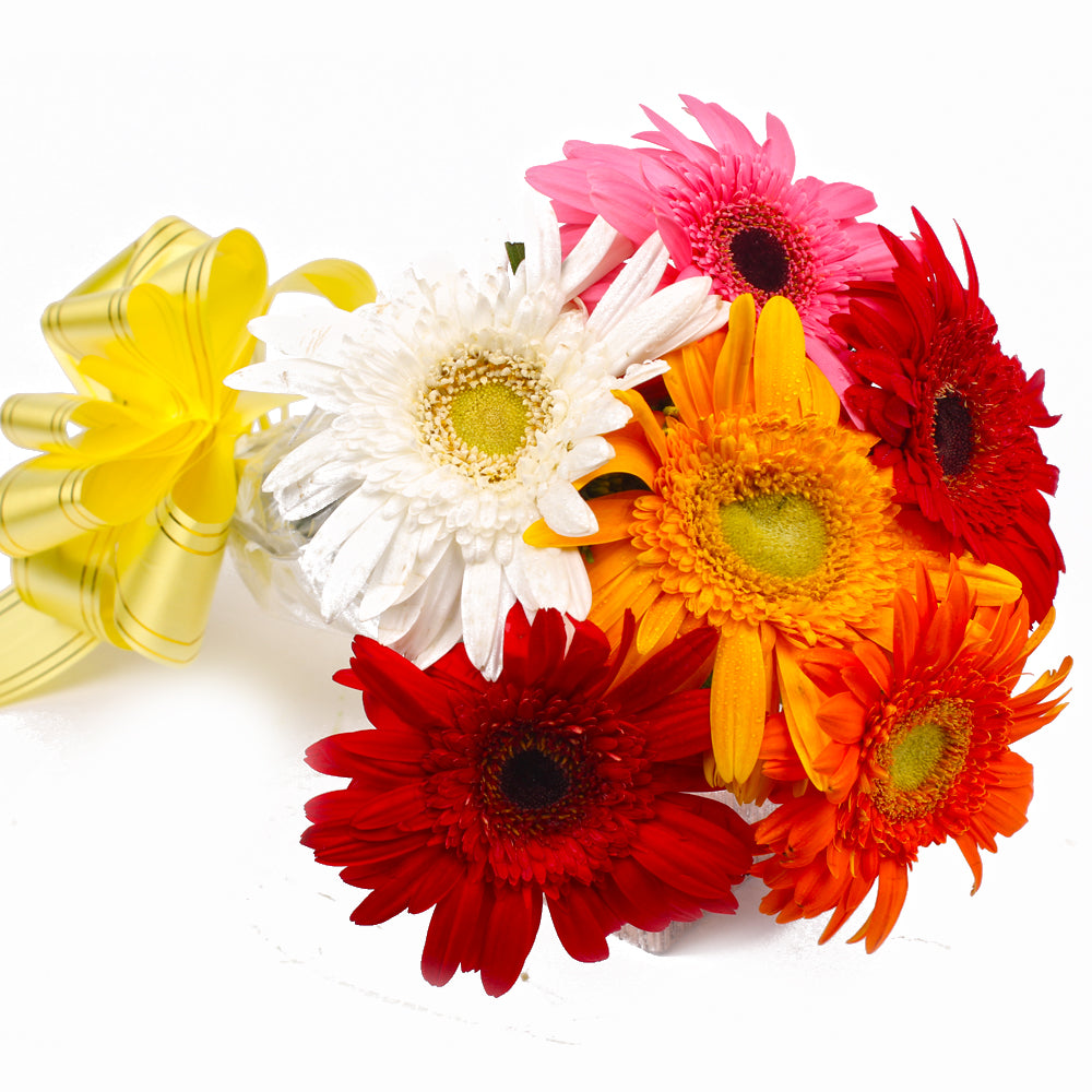 Six Multi Color Gerberas with Cellophane Packing