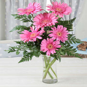 Six Pink Gerberas in Vase