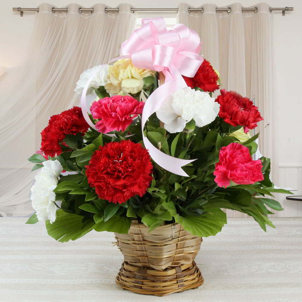 Mixed Carnation Basket Arrangement